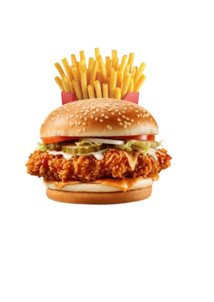 Crispy Chicken Burger with Fries